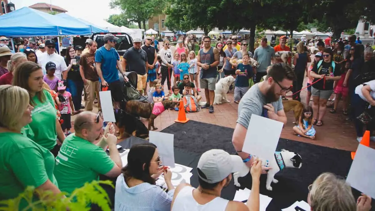 Farmers market fresh produce in Northwest Arkansas