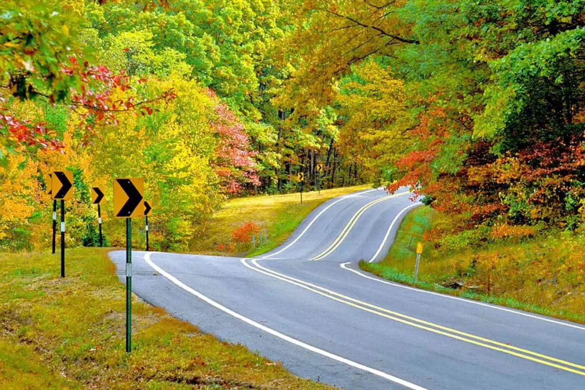 Fall foliage colors along drives in Bentonville and Fayetteville