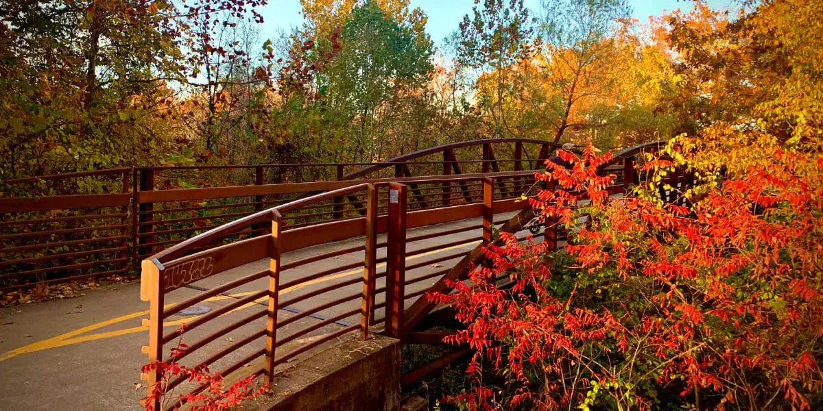 Fall leaf colors along trails in Northwest Arkansas