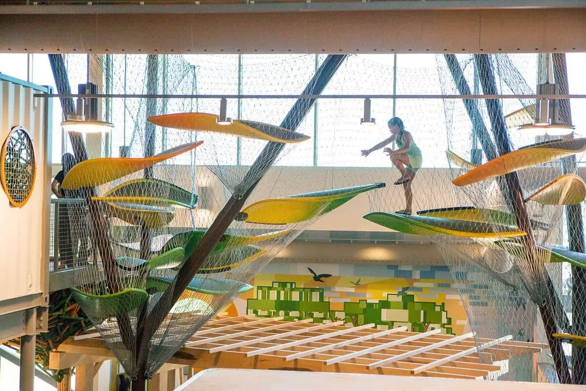 Climbing above Crystal Bridges Museum in Bentonville Arkansas