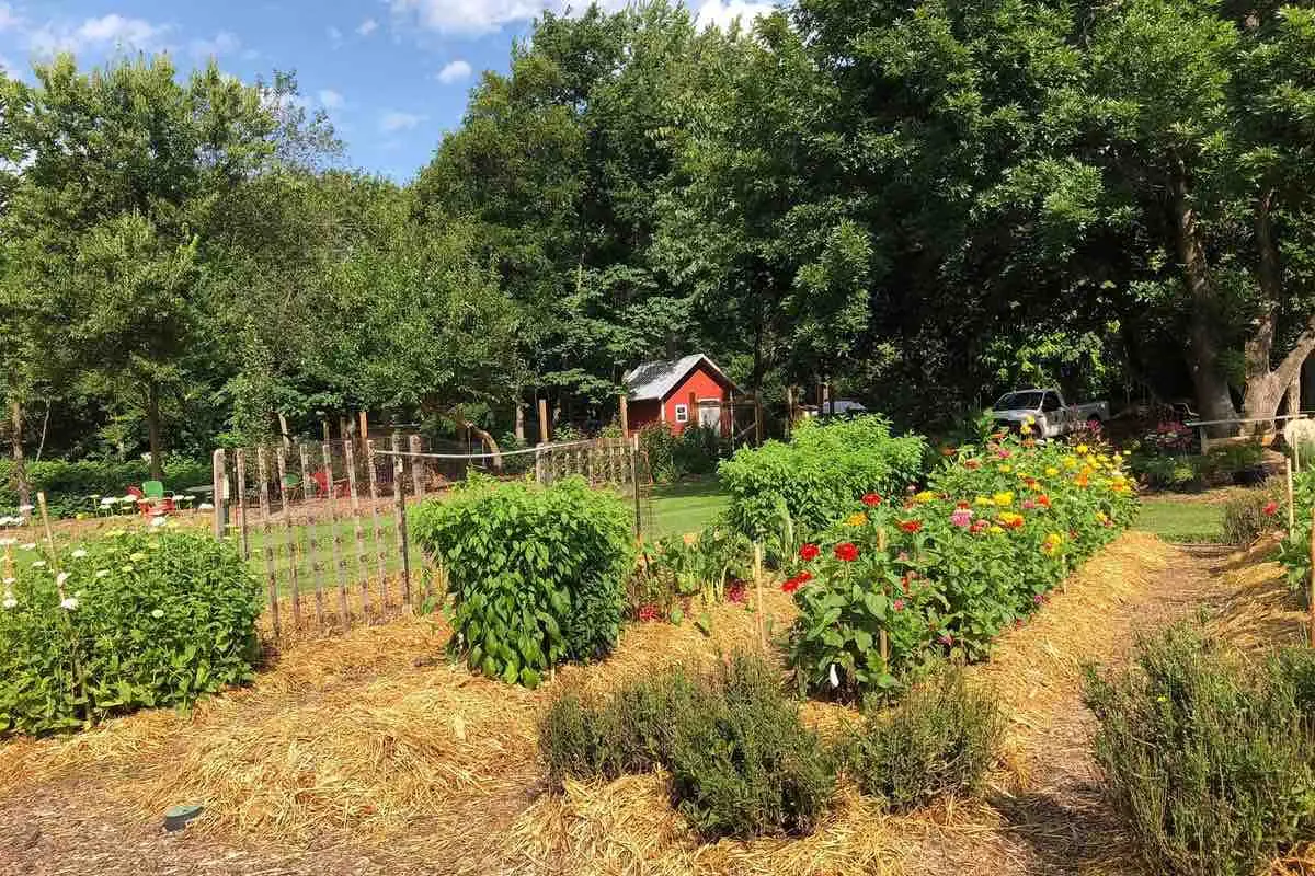 Four seasons weather and growing community in NWA