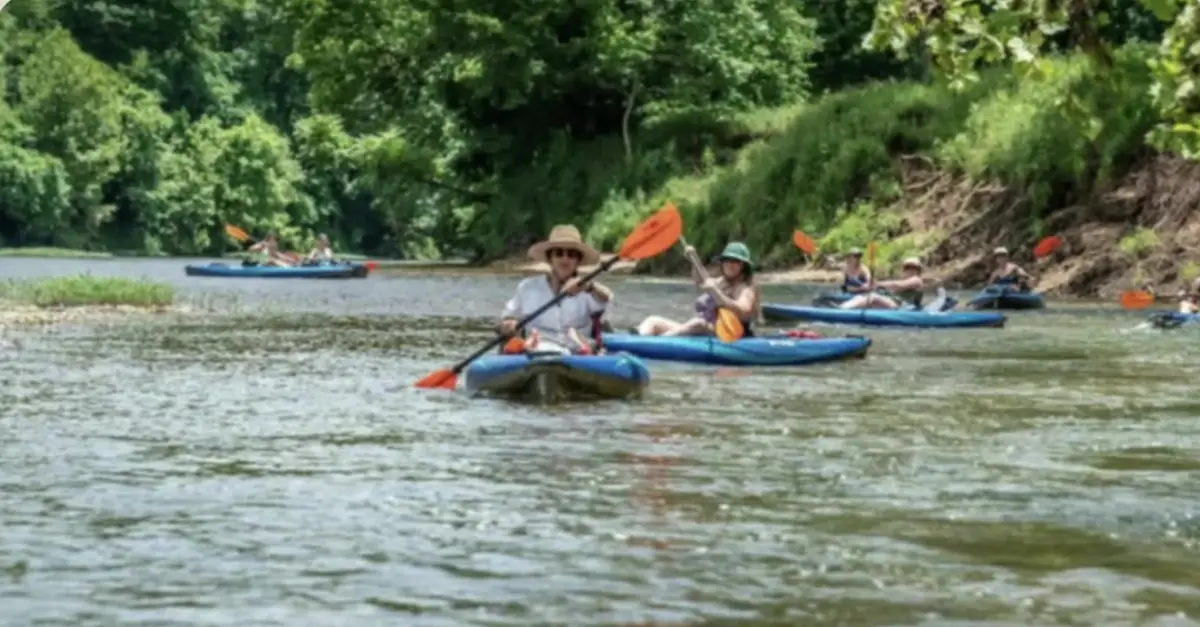 A group of paddlers floating in kayaks down a tree-lined river near Northwest Arkansas
